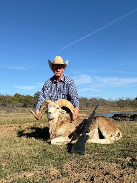 Hollow Point Outfitters Aoudad hunt