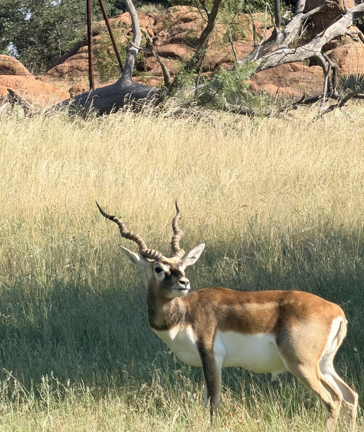 Hollow Point Outfitters exotics hunt 4