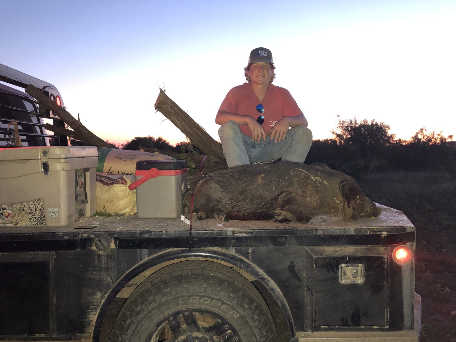 Hog on the flatbed at dusk
