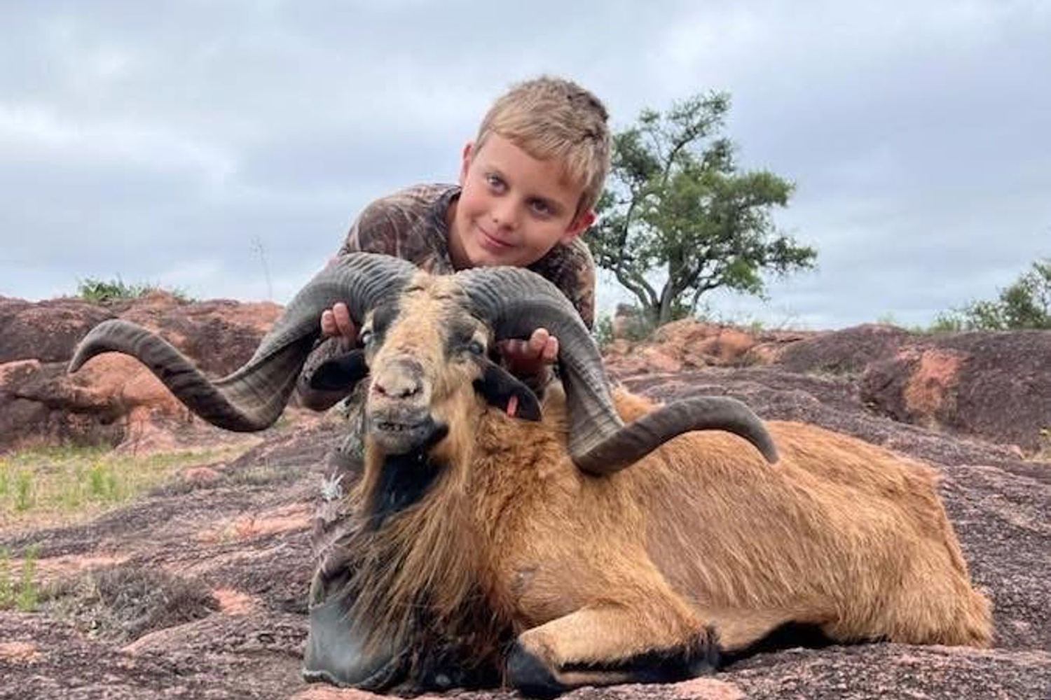 Texas Ram Hunts with Hollow Point Outfitters