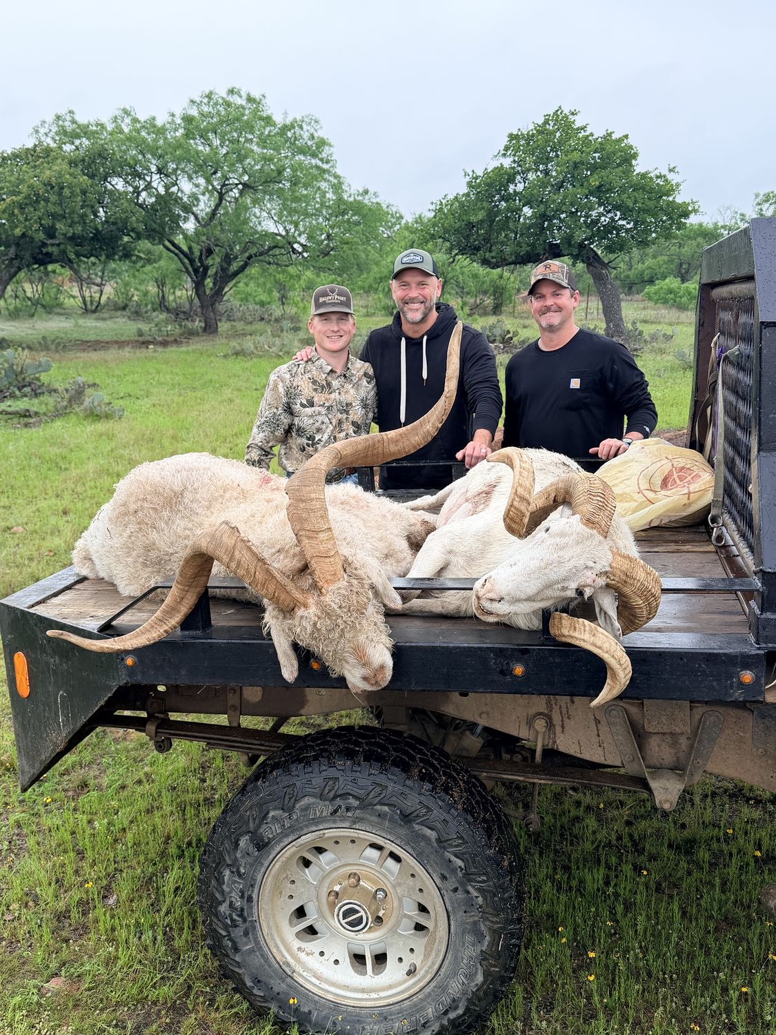 A group of hunters with rams taken on a Hollow Point hunt