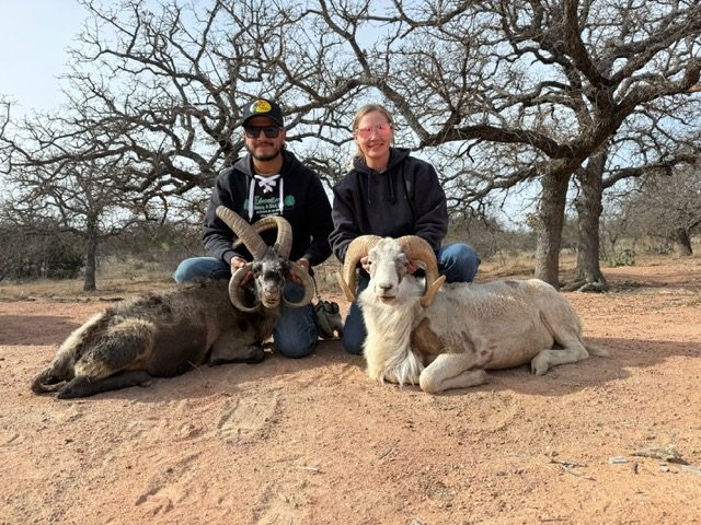 Two hunters with rams