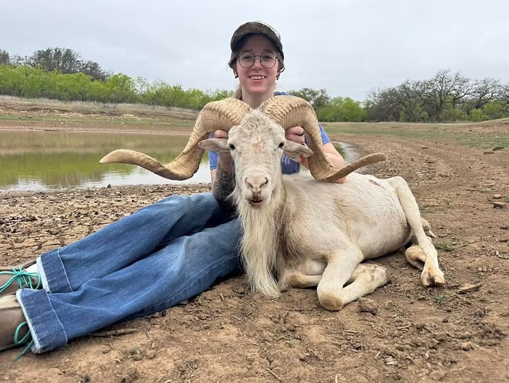 Young hunter with a Texas dall ram