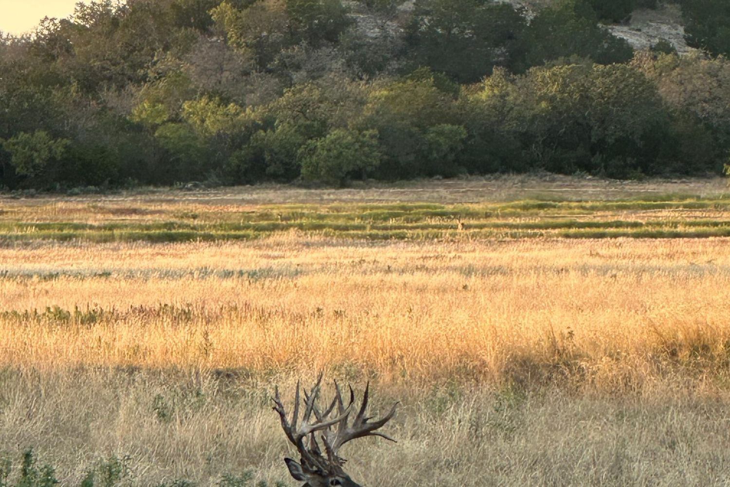 Hollow Point Outfitters all hunt 36