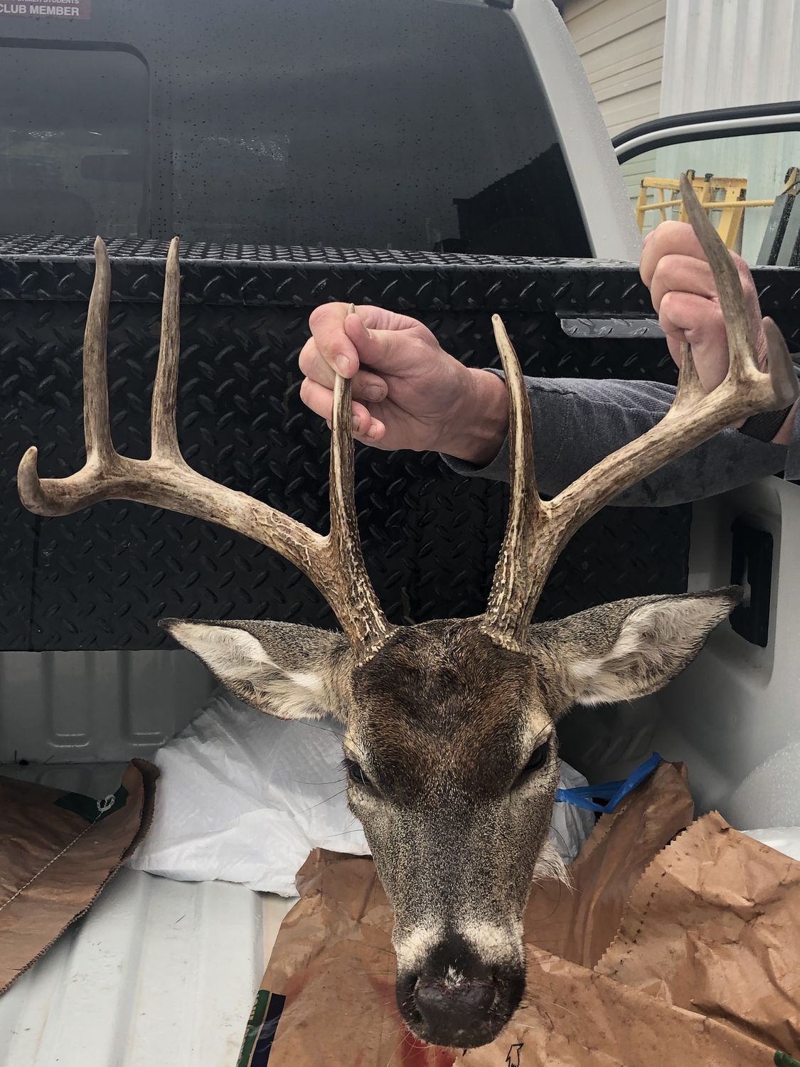 A wide-racked whitetail buck from a Hollow Point hunt